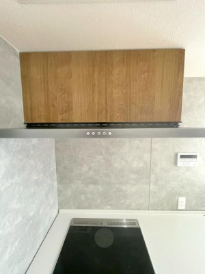 ���̑����ρ@-