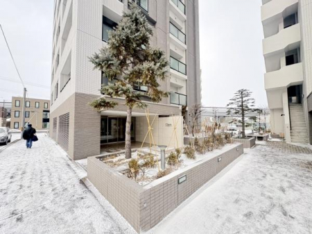 �G���g�����X�@-