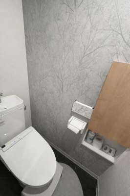 �g�C���@�A�N�Z���g�N���X���I�V�����Ȑ�����������g�C��