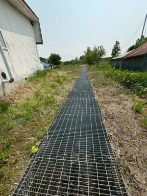 ���̑����n�@-