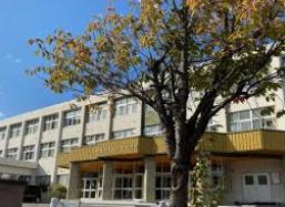 ���ӊ��@-