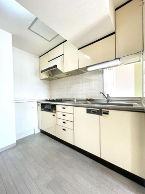 �L�b�`���@�s�s�K�X�d�l�̃L�b�`���ŁA���X�̒��������₷����ۂł��I�V���N���ƃX�y�[�X���m�ۂ���Ă���A�g������̗ǂ��z�u�B��������A���邳�Ɗ��C�̂��₷�����������܂��B�S�̓I�ɂ������肵����ۂł��ˁI