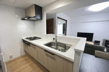 �L�b�`���@�������ɏW�����₷���A���r���O�����n����g������̗ǂ��ΖʃL�b�`���ł��B